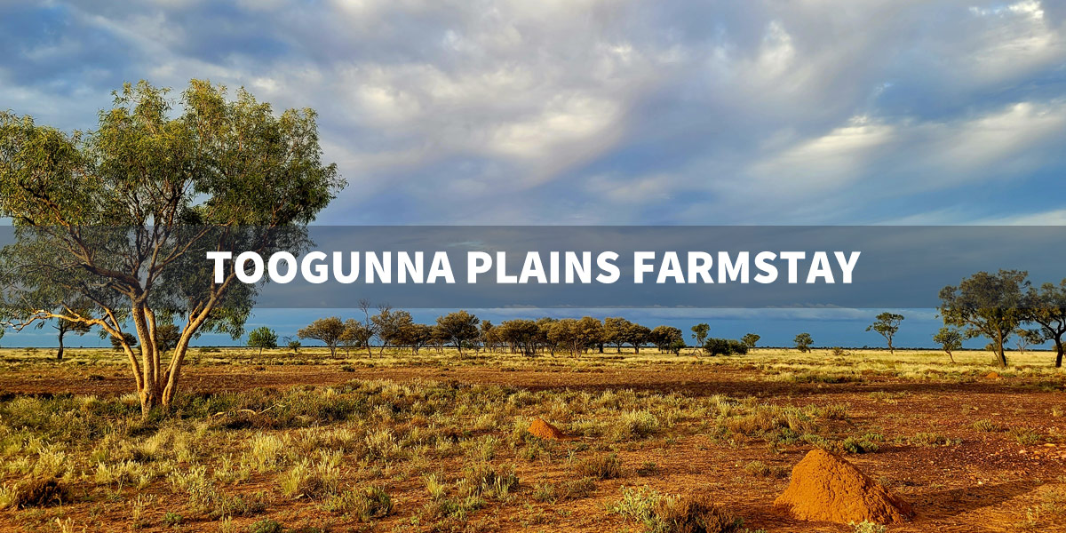 Toogunna Plains Farmstay